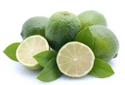 citrus aurantium l citrus aurantium l