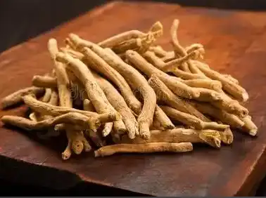 withania somnifera withania somnifera