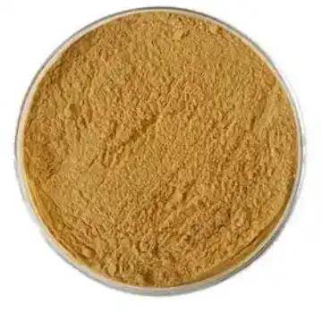 ivy leaf extract ivy leaf extract