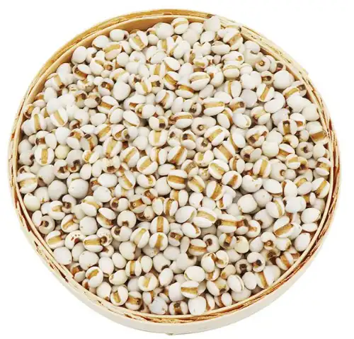  coix seed