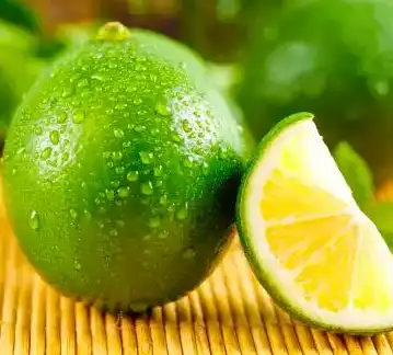 citrus aurantium l citrus aurantium l