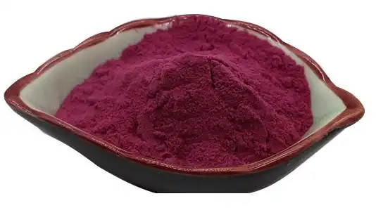 black elderberry extract powder