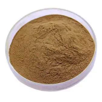 ivy leaf extract