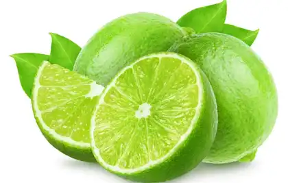 citrus aurantium l