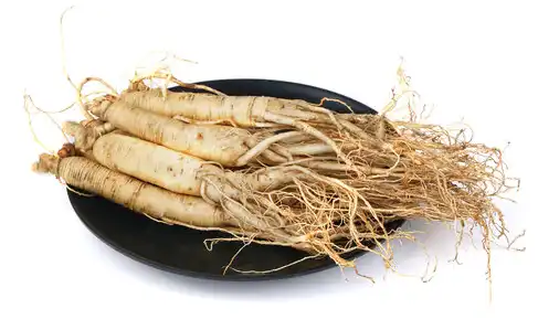 panax ginseng c. a. meyer
