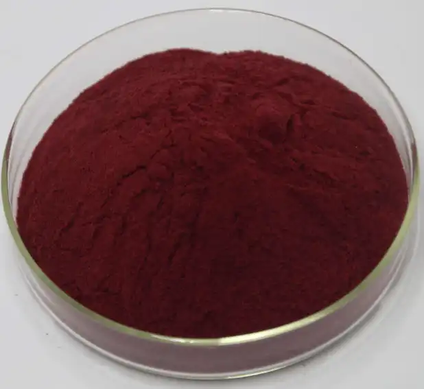 black elderberry extract powder