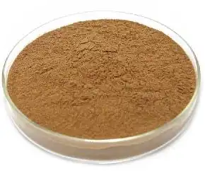 apple polyphenol powder