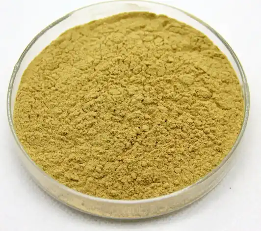 bacopa monnieri extract powder