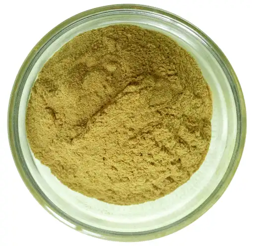 bacopa monnieri extract powder