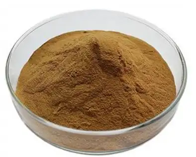 polygonatum extract