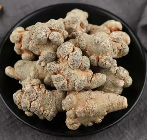 panax notoginseng