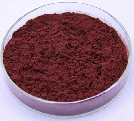 black elderberry extract powder