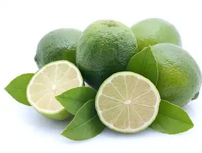 Citrus aurantium L