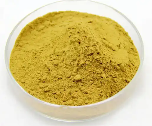 bacopa monnieri extract powder