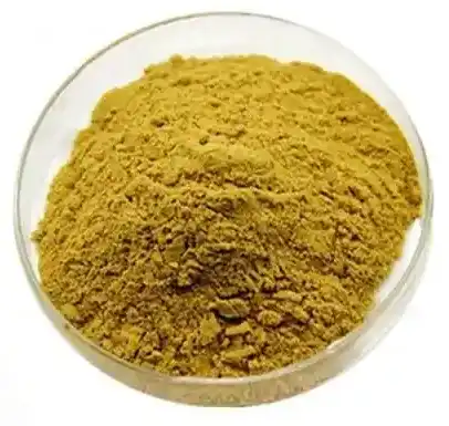 bacopa monnieri extract powder