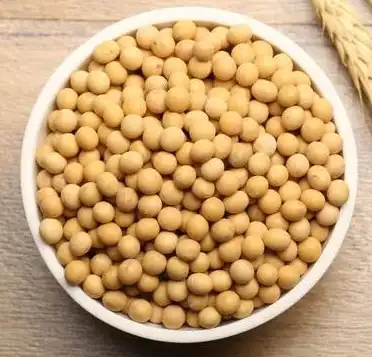 soybean