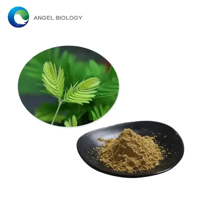 Разкриване на ползите за здравето от екстракта от мимоза пудика: Наръчник за детоксикация и храносмилателна подкрепа