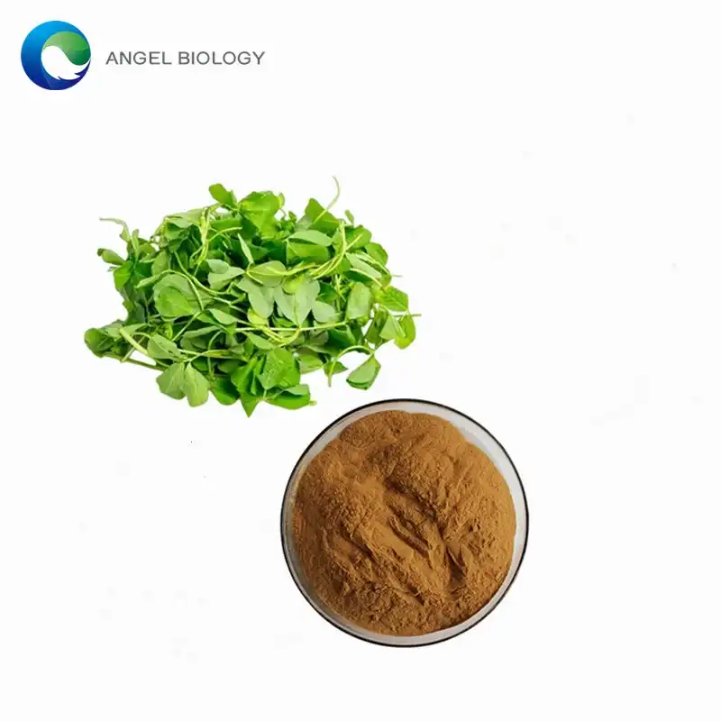 Alfalfa Extract’s Phytonutrient Profile: Key Bioactives