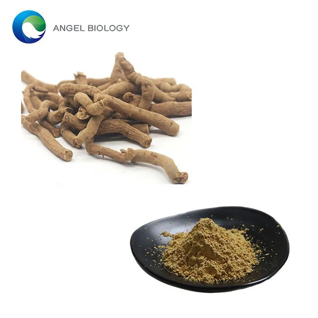What is Radix Aristolochiae Extract used for in Traditional Medicine?