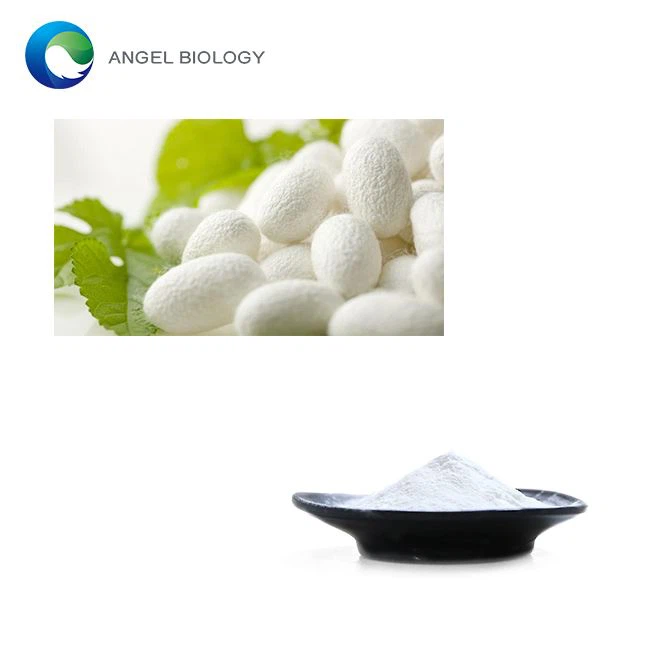 What is the Difference Between Silk Peptide Powder and Regular Silk Extract?
