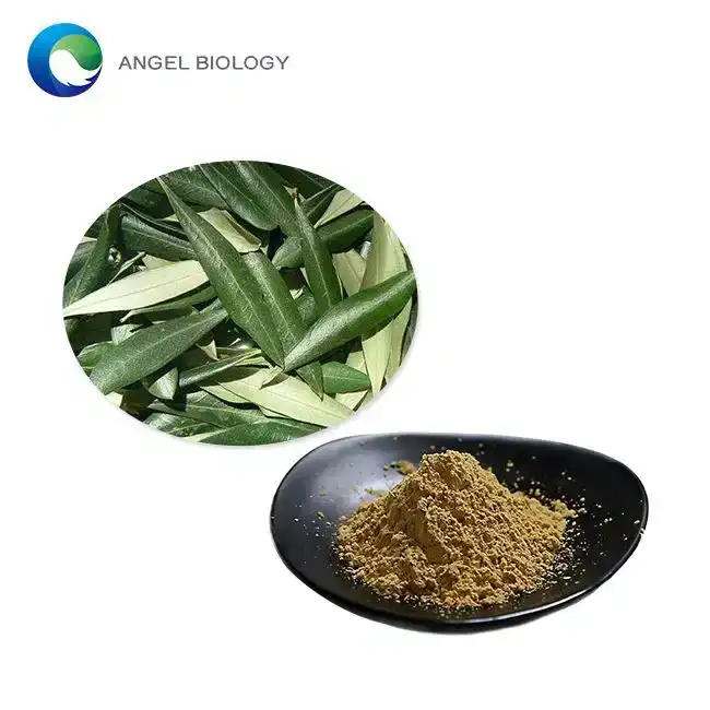 Unsa ang aktibo nga compound sa Olive Leaf Extract Powder?
