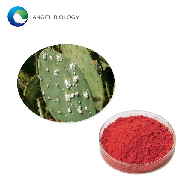 Is Cochineal Extract Powder the Same as Carmine?