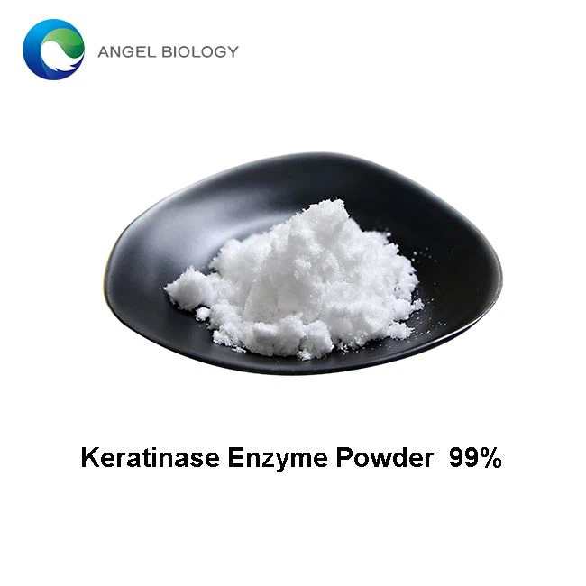 What is the Use of Keratinase Enzyme Powder?