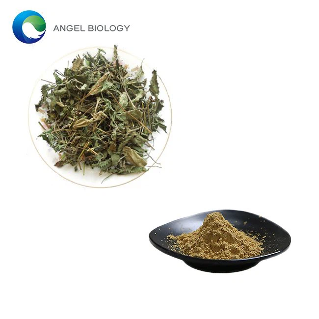 Is Rubescens Extract Powder Used for Metabolism?
