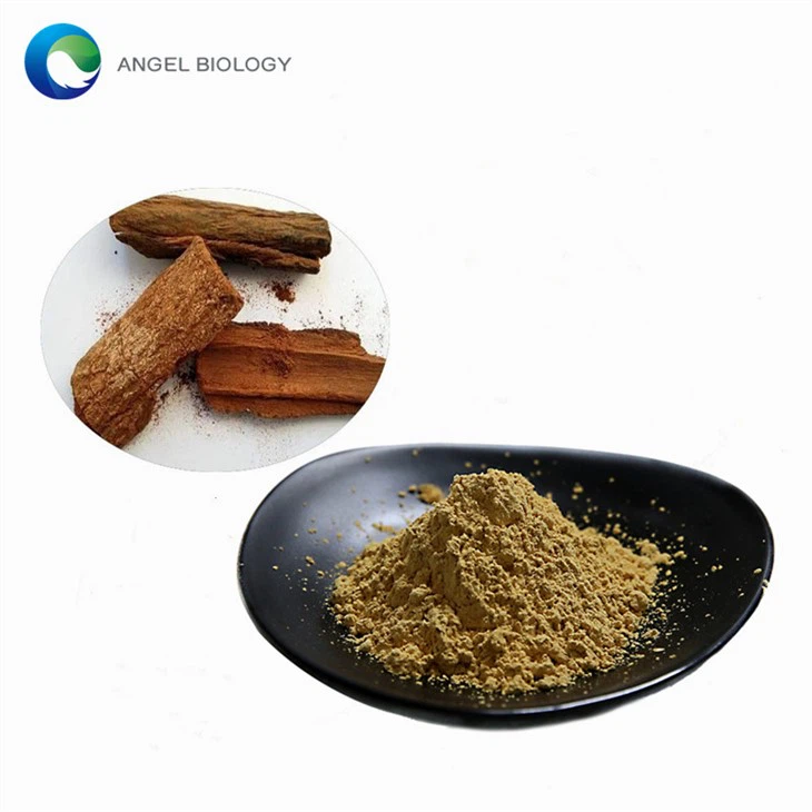 What are the Active Compounds in Cinchona Bark Extract?