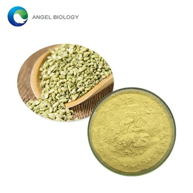 What is Rutin Powder?