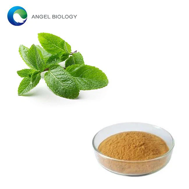 Is Peppermint Extract Good for Skin?