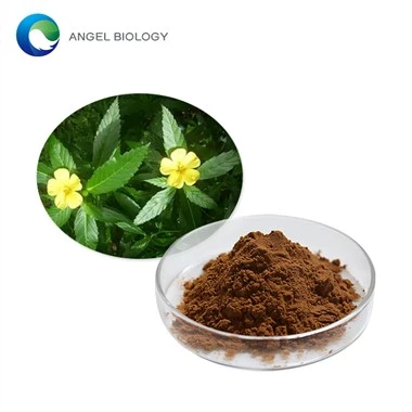 Does Damiana Leaf Extract Affect Hormones?