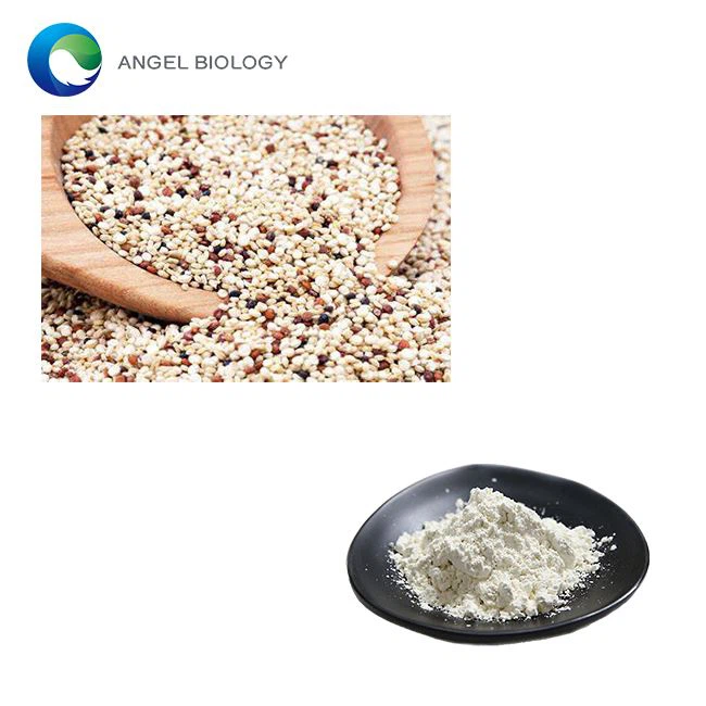 Is Quinoa Protein Powder Good for Weight Loss?