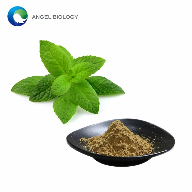 What are the Traditional Uses of Marrubium Vulgare in Herbal Medicine?