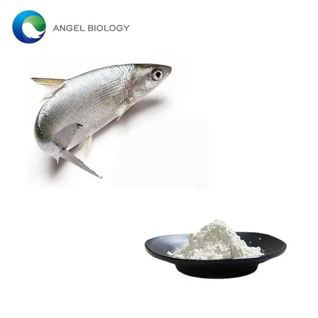 Fanampin-tsakafo Kolagen Peptide Trondro ambony indrindra: Iza no tsara indrindra ho an'ny anti-fahanterana?