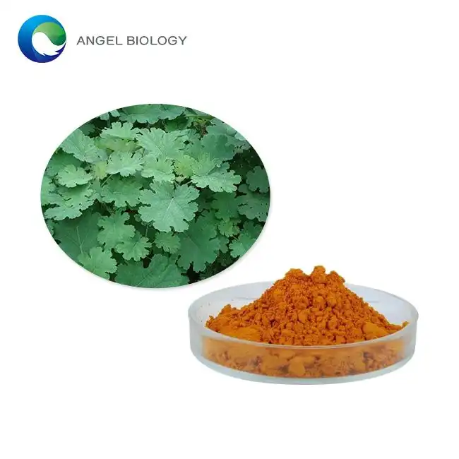 What are the Benefits of Macleaya Cordata Extract?