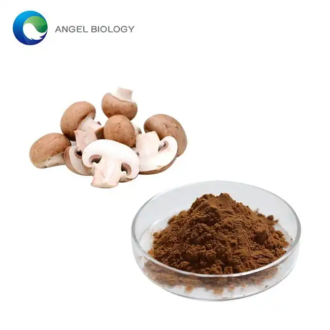 Does Shiitake Mushroom Extract Powder Help With Inflammation?