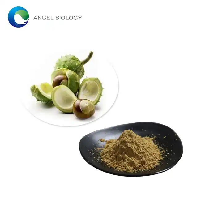 Can Horse Chestnut Extract Powder be Used for Hemorrhoids?