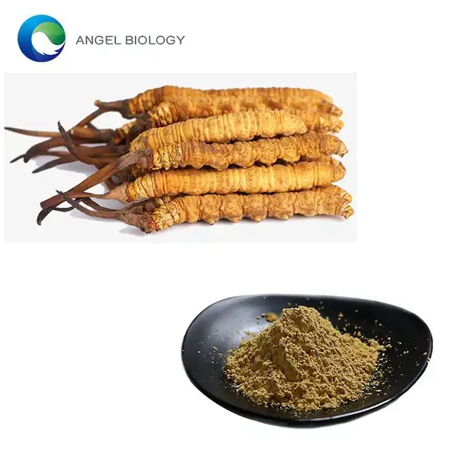 Is Cordyceps Extract Powder Good for Immune Support?