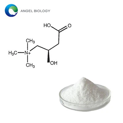 What are the Health Benefits of L-Carnitine Powder?