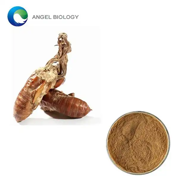 Does Cicada Flower Extract Have Any Antioxidant Properties?