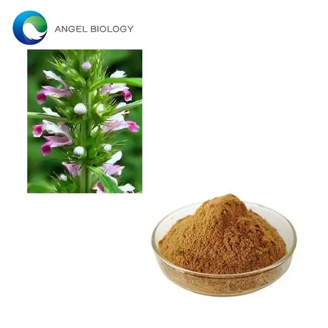 How Much Motherwort Extract Should I Take Daily?