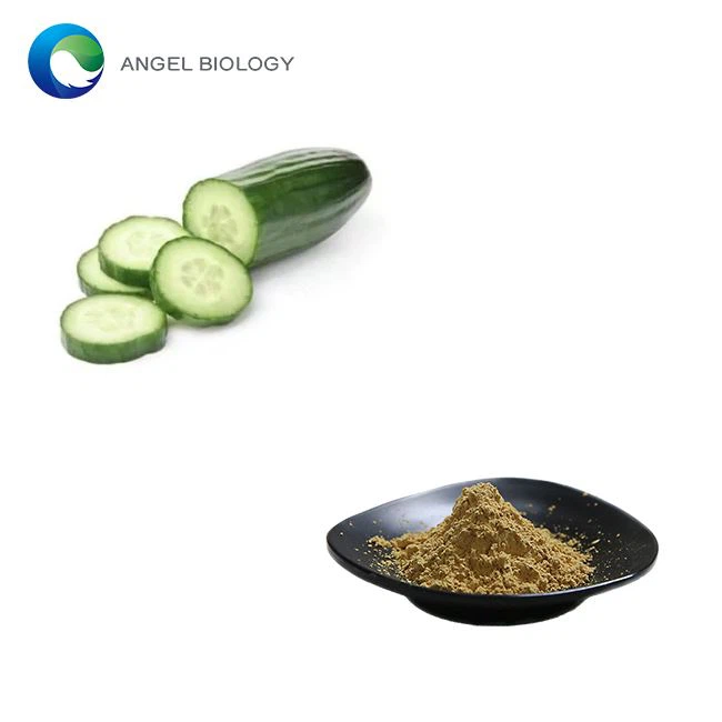Does Cucumis Sativus Fruit Extract Have Any Antioxidants?