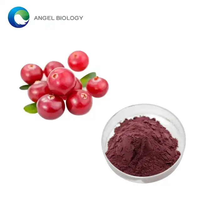 Can Cranberry Extract Powder Help with Kidney Health?