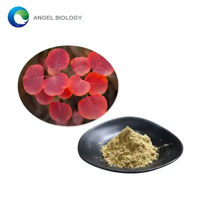 Ang Smoke Tree Extract Powder's Solubility sa Hydroalcoholic Solutions