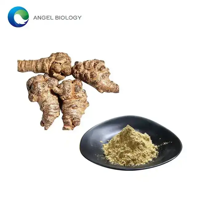 Apa bubuk Root Notoginseng bisa nambah sirkulasi getih?