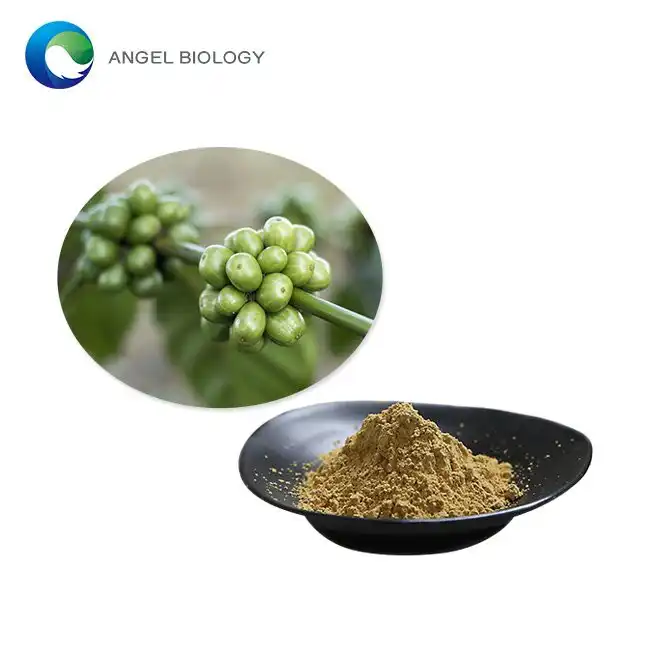 Hoe stipet chlorogenic acid poeder de sûnens fan it hert?