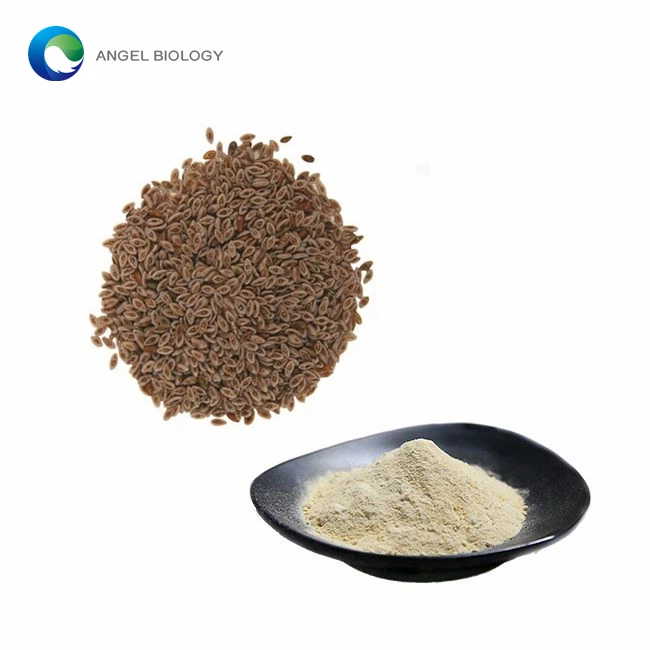 What is Psyllium Husk Powder?