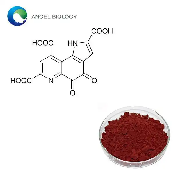 에너지 대사를 강화하고 웰빙을 개선하는 최고의 PQQ 파우더 보충제
