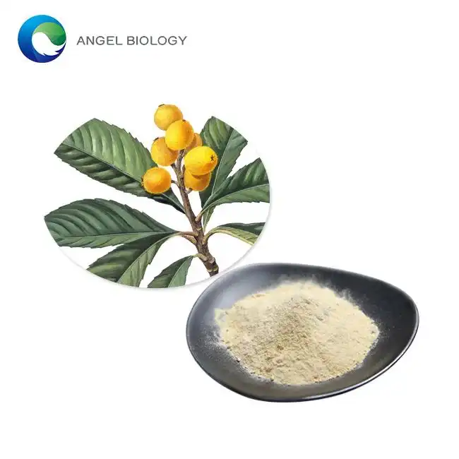 How to Use Ursolic Acid Powder for Natural Muscle Growth and Fat Loss？